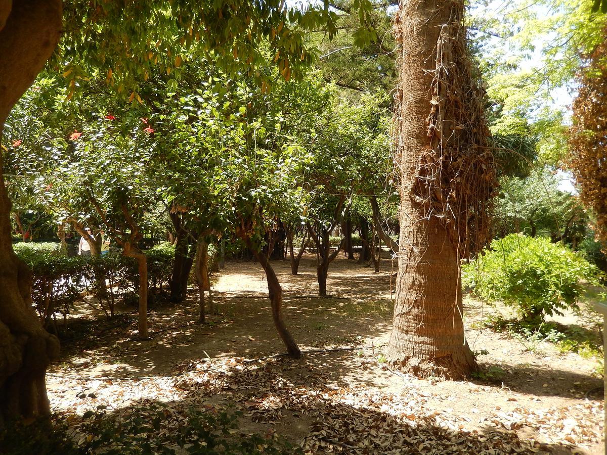 Aloe Apartments Rethymno  ภายนอก รูปภาพ